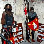 7193castleknights.jpg